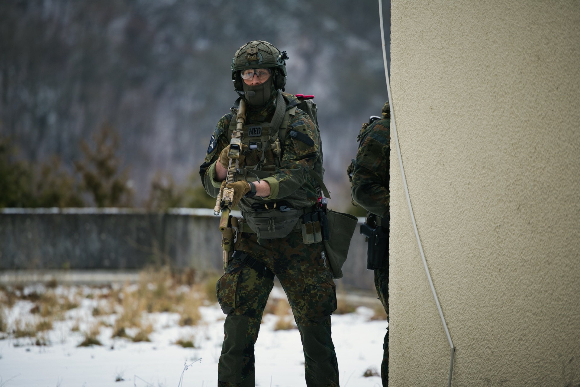 Flecktarn K9